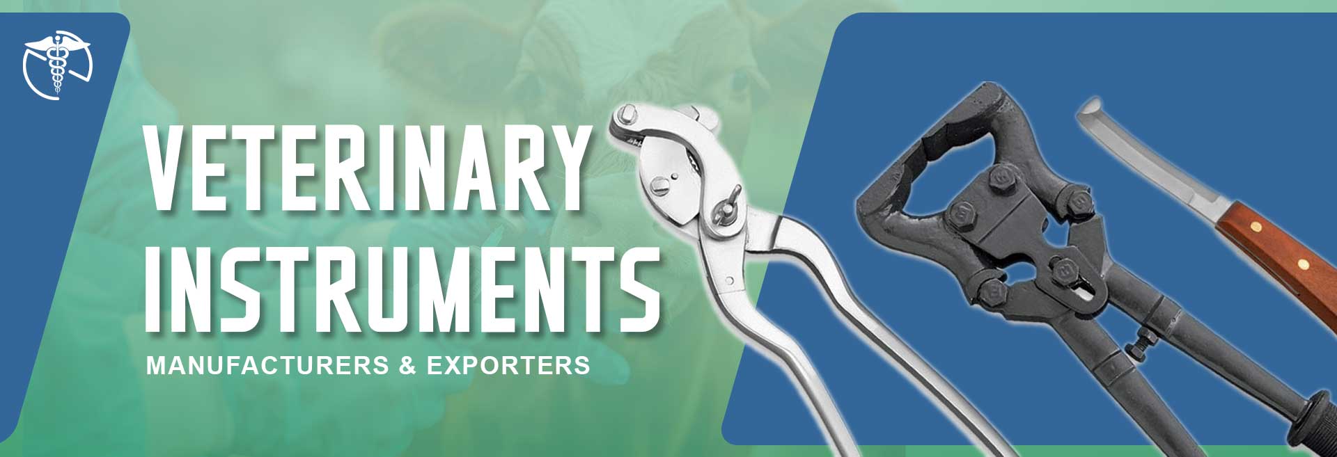 Veterinary Instruments