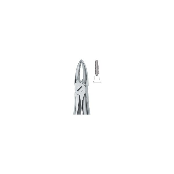 Tooth Ext Forceps