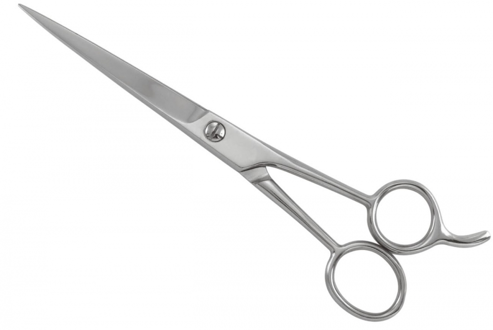 Professional Hair Cutting Shear