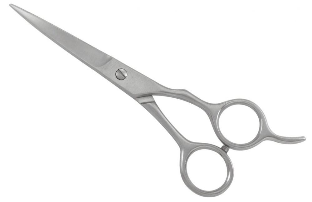 Professional Hair Cutting Shear