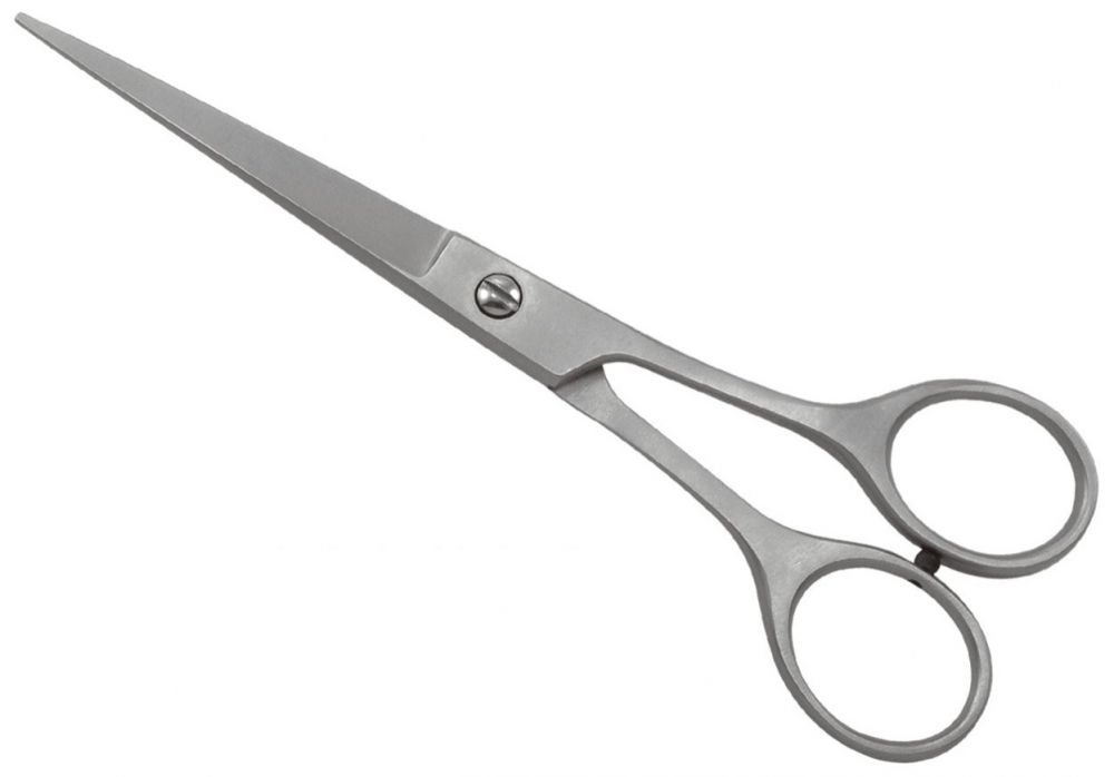 Professional Hair Cutting Shear