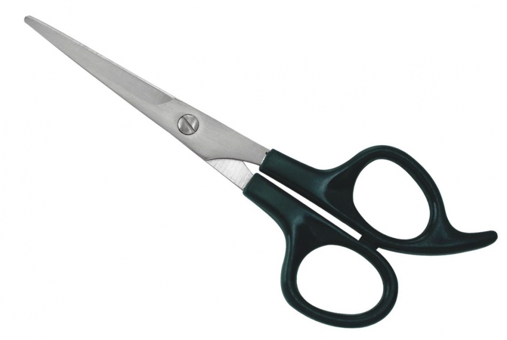 Plastic Handle Shear