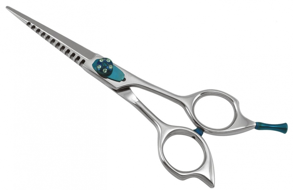 Professional Razor Shear