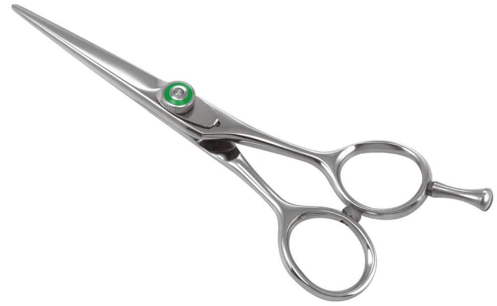 Professional Razor Shear