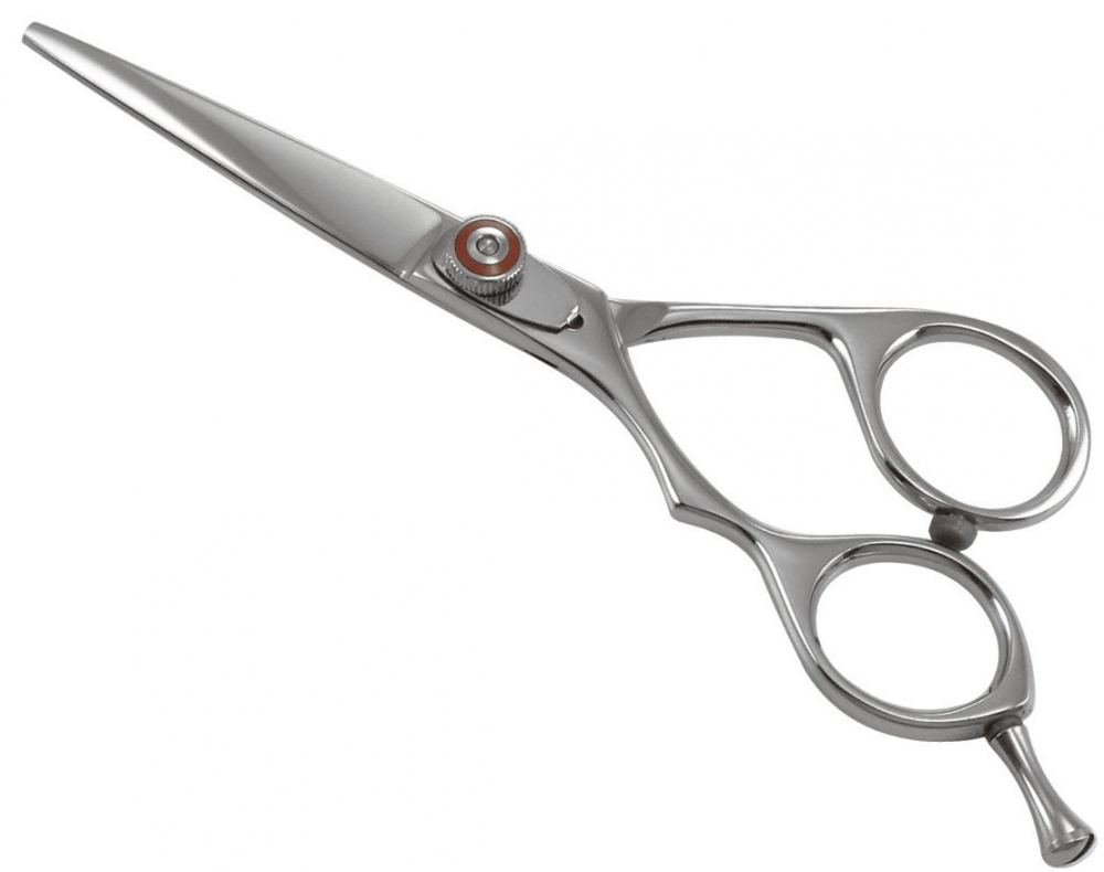 Professional Razor Shear