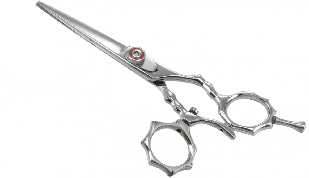 Professional Razor Shear