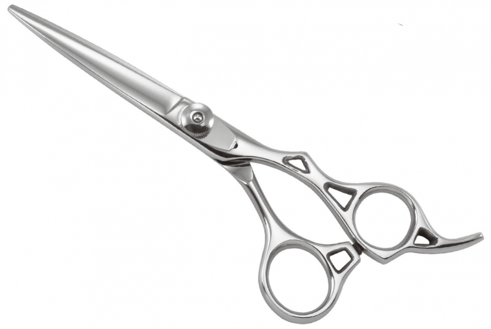 Professional Razor Shear